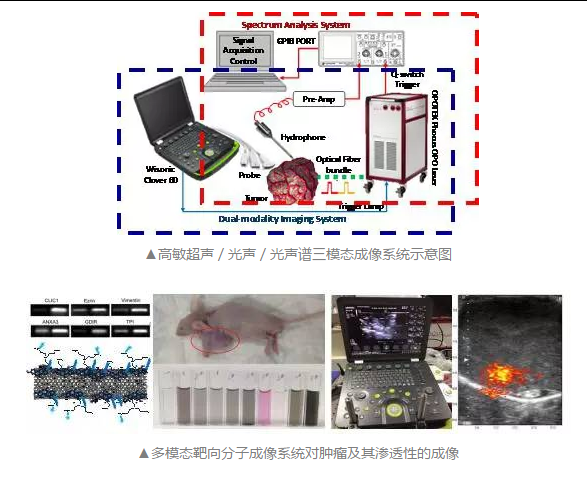 关注|微纳米声成像实验室的最新研究成果