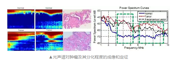 关注|微纳米声成像实验室的最新研究成果